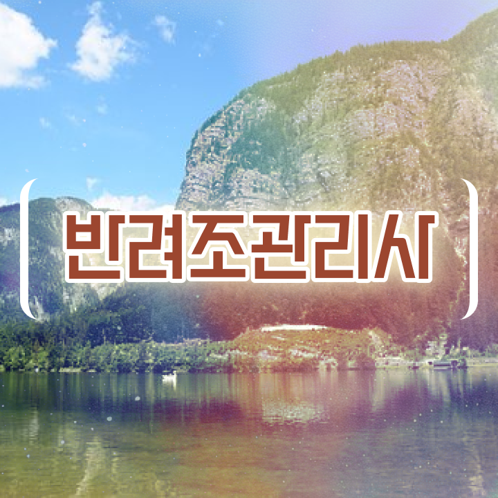  퀘이커앵무분양 , 반려조관리사 자격증 합격한 비법 소개합니다