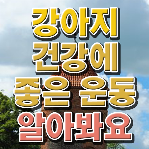  반려견운동지도사 무료 강의 , 반려견운동지도사자격증 1달 만에 합격한 팁