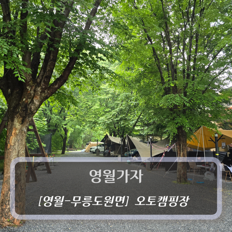  [영월-무릉도원면, 오토캠핑장] 영월가자 - 영월 캠핑