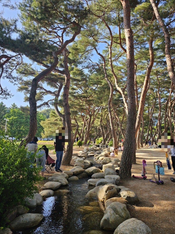  제천 가볼 만한 곳(의림지,비룡담저수지)