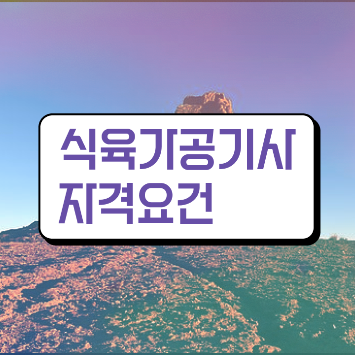  식육가공기사 시험응시조건 온라인 과정으로 5개월 만에 완료한 후기