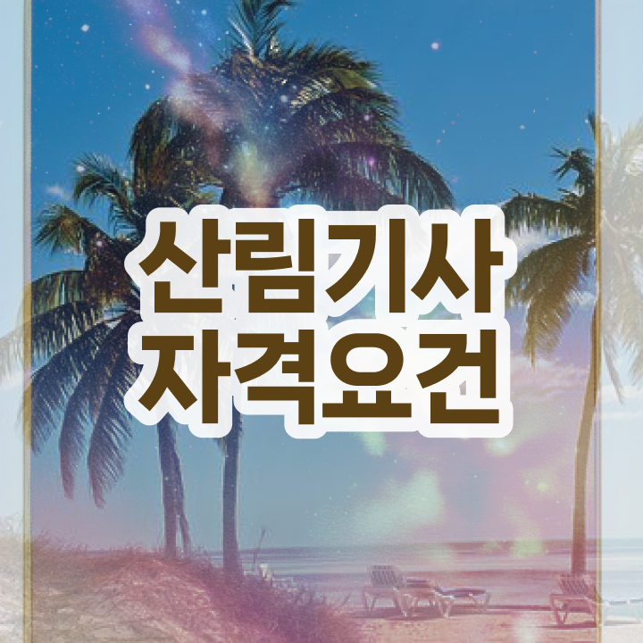  산림기사 자격증 산림기사 시험자격 독학으로 4달만에 끝낸 방법
