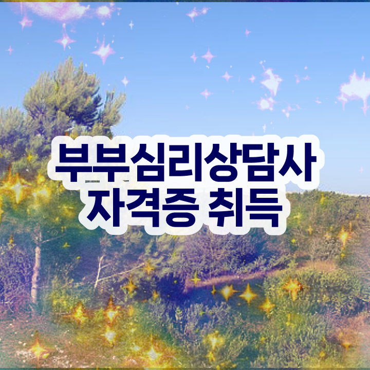  부부심리상담사인터넷강의 , 부부심리상담사 자격증 온라인으로 간단히 학습한 후기 , 취업 전망