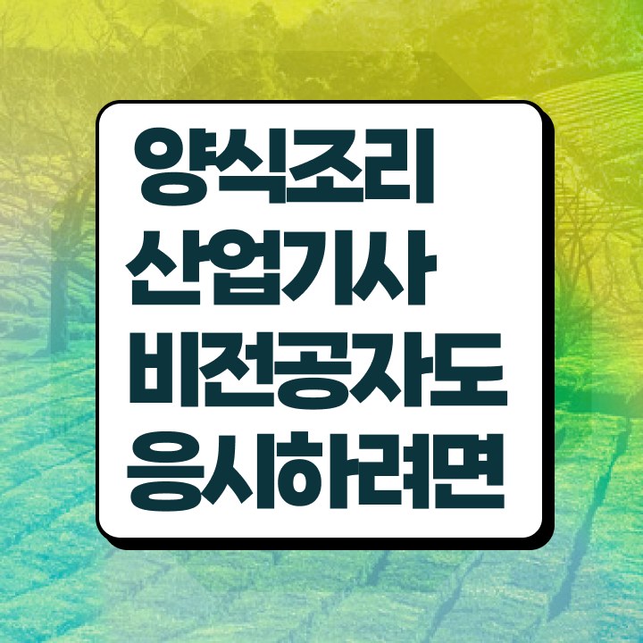  양식조리산업기사 시험응시자격 독학으로 4달 안에 끝낸 노하우