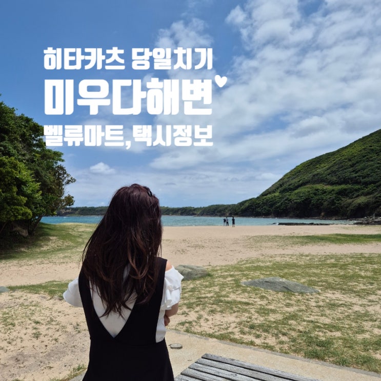  대마도 히타카츠 당일치기여행 택시타는법 요금 소요시간 미우다해변 벨류마트 오우라점