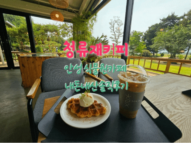  청류재커피 안성식물원카페 내돈내산솔직후기