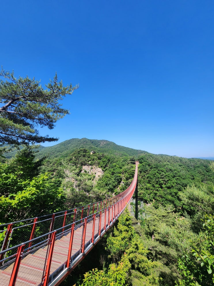 [파주 감악산] 등산코스 및 대중교통으로 이용. 출렁다리 보러 레고!