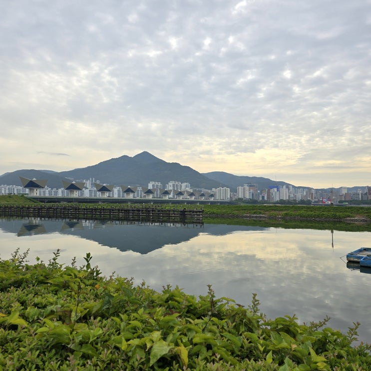  [일상] 24년 6월 조류조사(을숙도, 서낙동강, 폭폭)