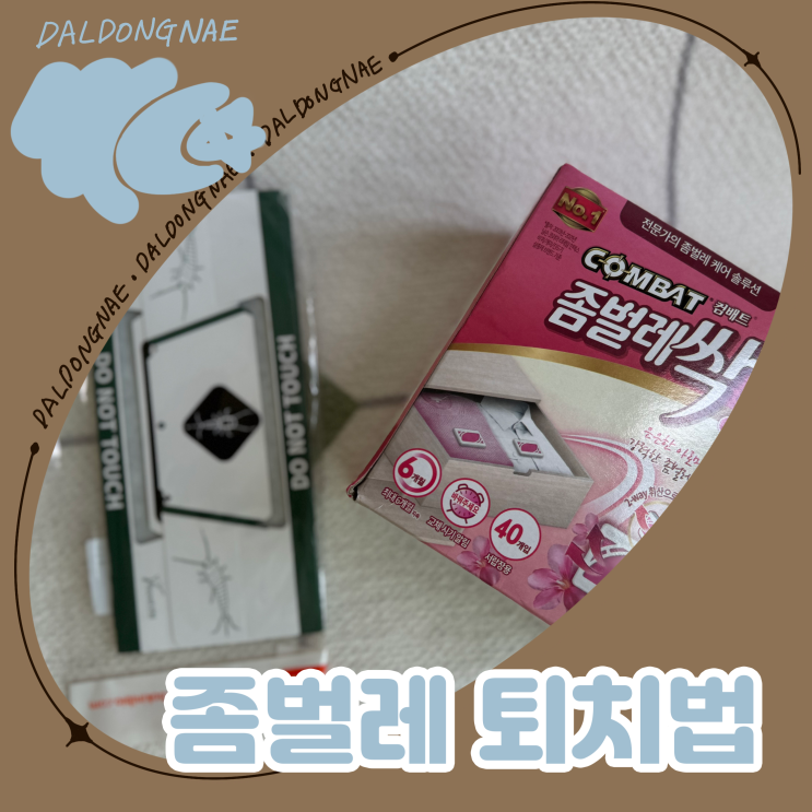  좀벌레원인과 퇴치법