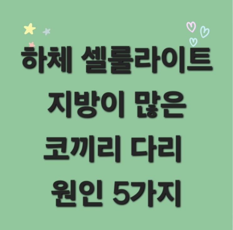  하체셀룰라이트 지방이 많은 코끼리 다리 원인 5가지