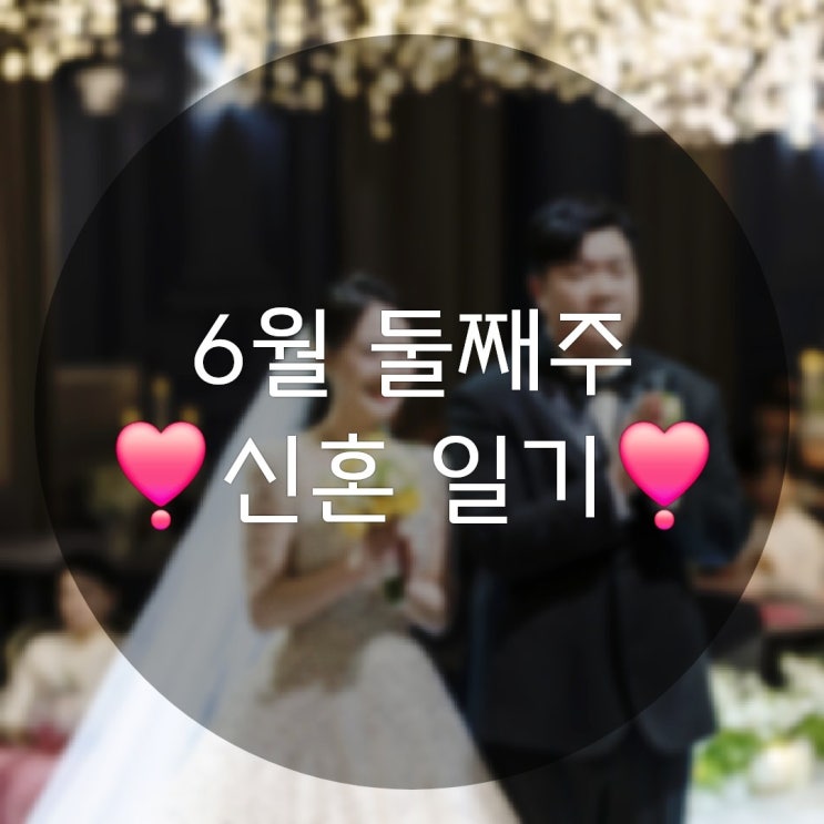  6월 둘째 주의 신혼 일상 기록(ft. 웨딩스냅사진 보정 본 도착)