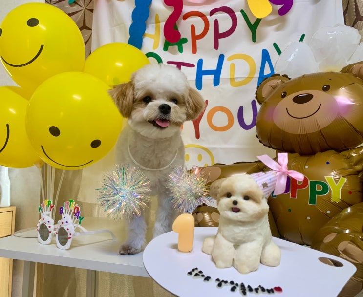  강아지 생일선물 주문제작케이크 왈테이블