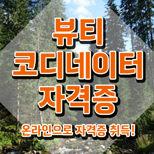  방송스타일리스트자격증 , 뷰티코디네이터 자격증 취득한 방법 여기만 보세요