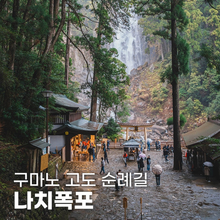  일본 소도시 여행 구마노 고도 순례길 나치폭포