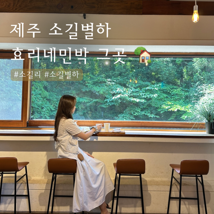  소길별하 50%할인 받는 법 | 효리네민박 바로 그곳️