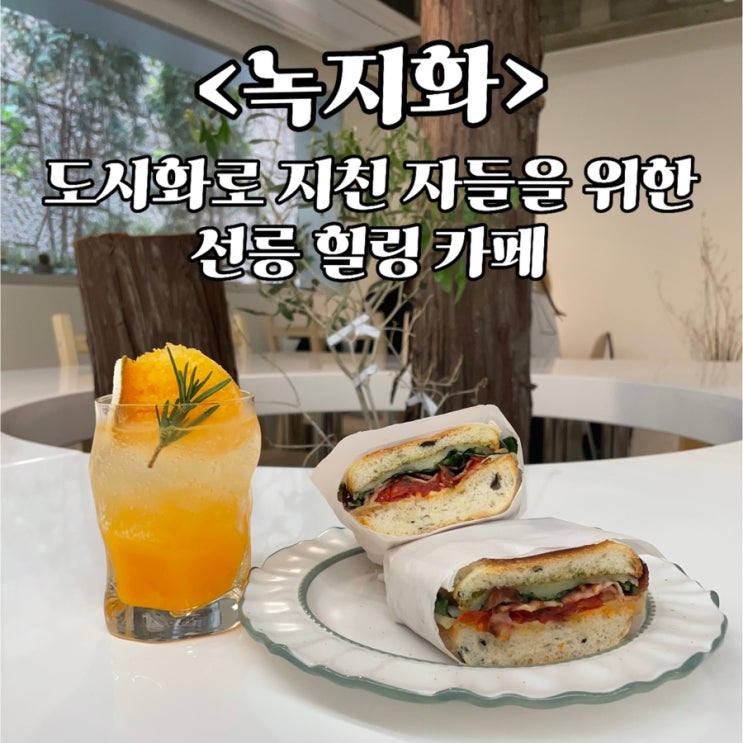  [선릉역 카페 추천] 작은 숲에서 힐링하는 느낌. 분위기 있는 조용한 카페 2일 연속 방문 후기 <녹지화>