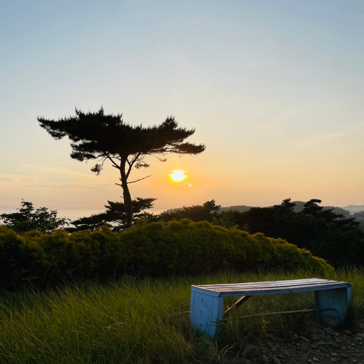  태안 지중해아침펜션 볼거리, 포토존, 노을뷰, 인생샷, 산책, 풀장, 와인