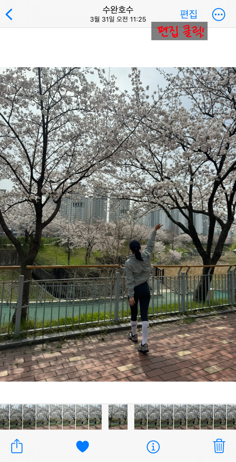 휴대폰갤러리 이미지