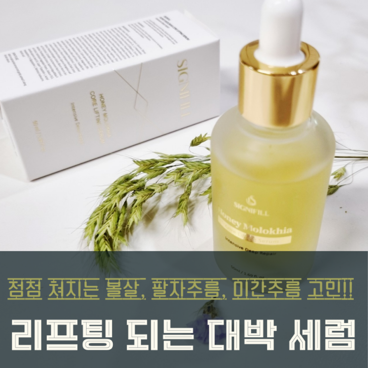 피부탄력관리 꿀템 추천 시그니필 허니 몰로키아 코어 리프팅 세럼