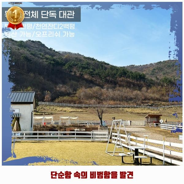 오렌지애견카페