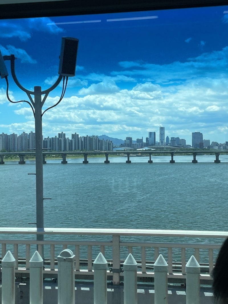 사진 9