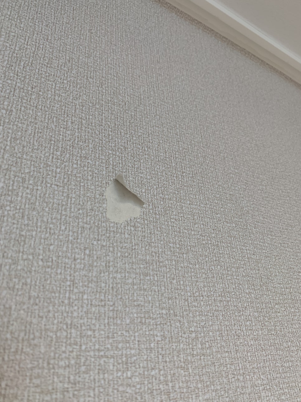 실크벽지 찢어진 벽지보수