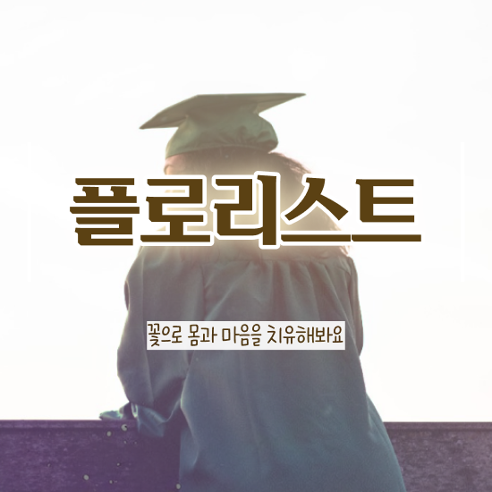  광주꽃꽂이원데이클래스 , 플로리스트 자격증 준비한 과정 핵심 정보 정리