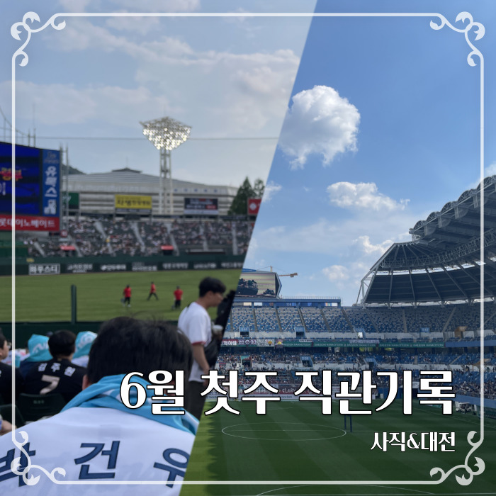  6월 첫 주 주말 원정 기록|사직가서 야구(롯데vsNC)보고 대전가서 축구(대전vs대구)보기