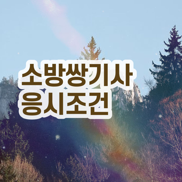  소방설비기사 전기 소방설비기사 응시자격 온라인으로 4개월 만에 성공한 과정