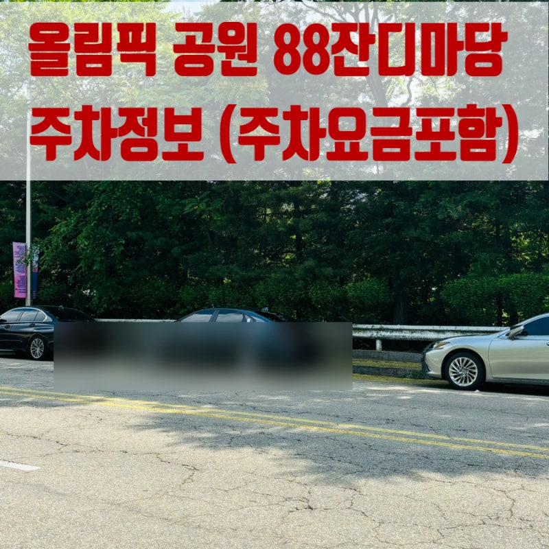 올림픽 공원 88잔디마당 주차 - 서재페