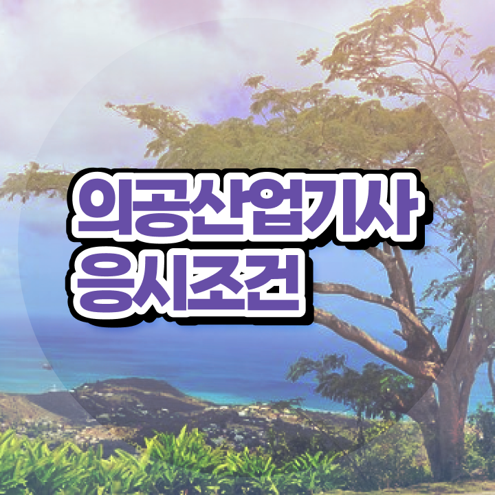  의공산업기사 시험 조건 의공산업기사 응시조건 집에서 온라인으로 간편하게 성공한 방법