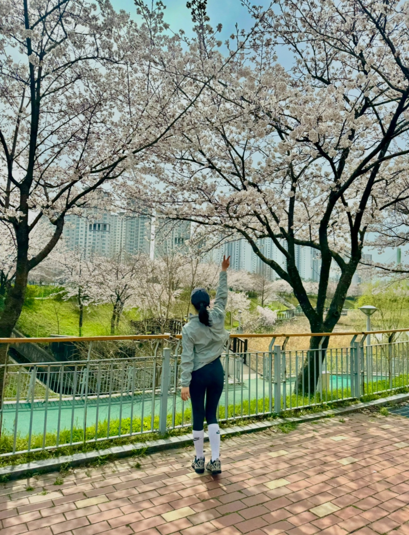 휴대폰갤러리 이미지