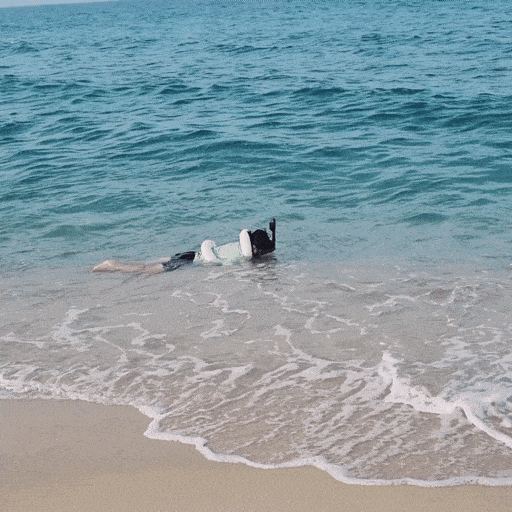  경포대 해수욕장 개장, 강원도 여행 중 동해바다 물놀이