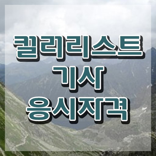  컬러리스트산업기사 컬러리스트기사 시험응시자격 인강만 듣고 단기간에 성공한 팁