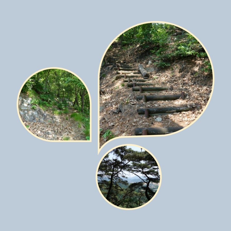 엄정산 사진 5