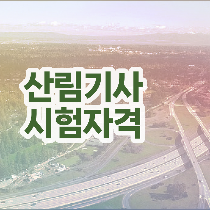  산림기사 자격 요건 산림기사 시험응시자격 학점은행제로 5개월 만에 완료한 방법