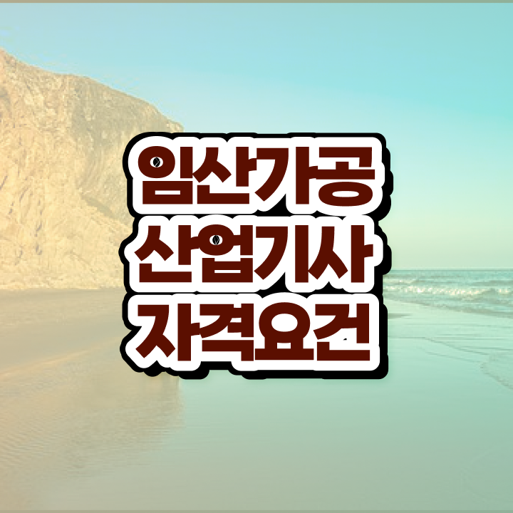 임산가공산업기사 취득자격 독학으로 5개월 만에 준비한 팁