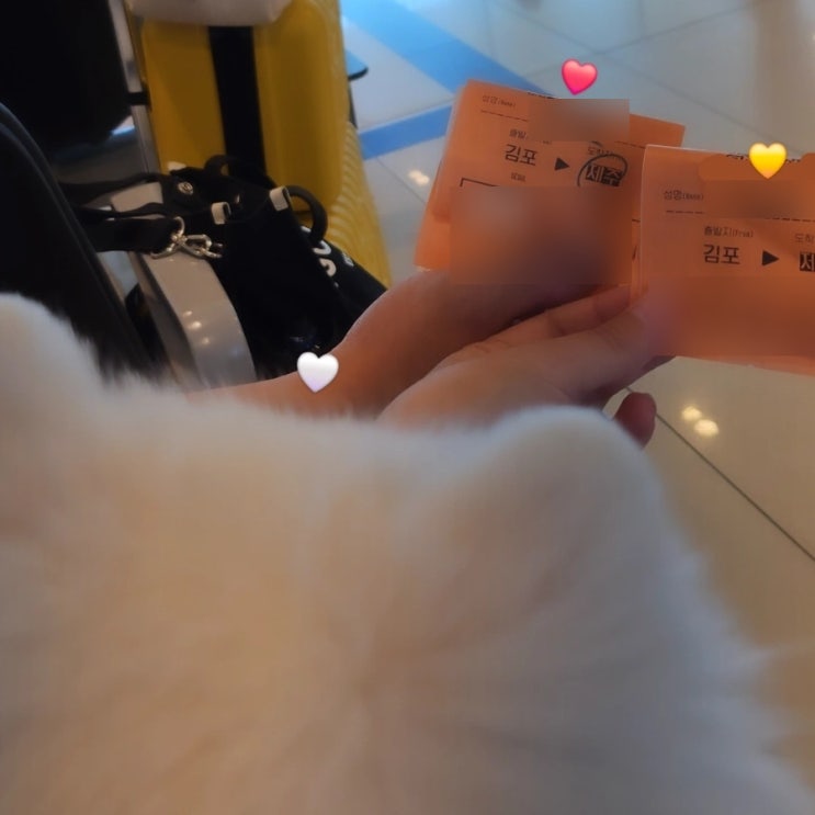  [제주항공] 강아지 동반 비행기 타는 법 / 주의사항 / 소음 /  김포공항 제주공항 산책 / 펫패스
