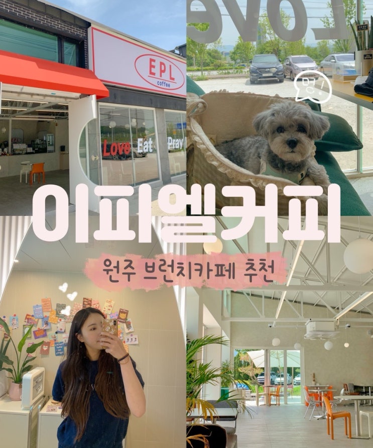  원주역 근처 애견동반 가능한 브런치카페 EPL 이피엘커피 내돈내산 후기