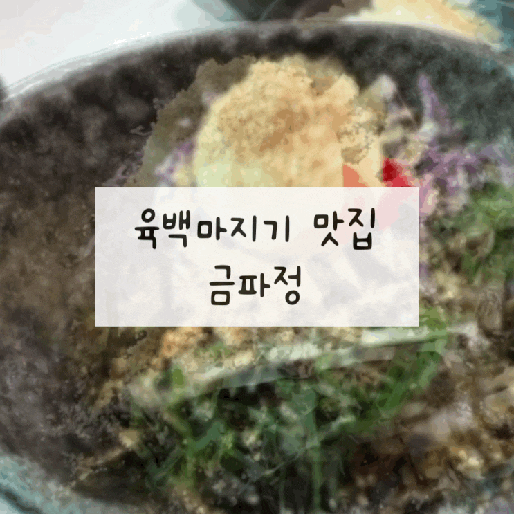  평창 육백마지기 막국수 맛집 금파정 / 평창 미탄면 내돈내산 맛집 추천
