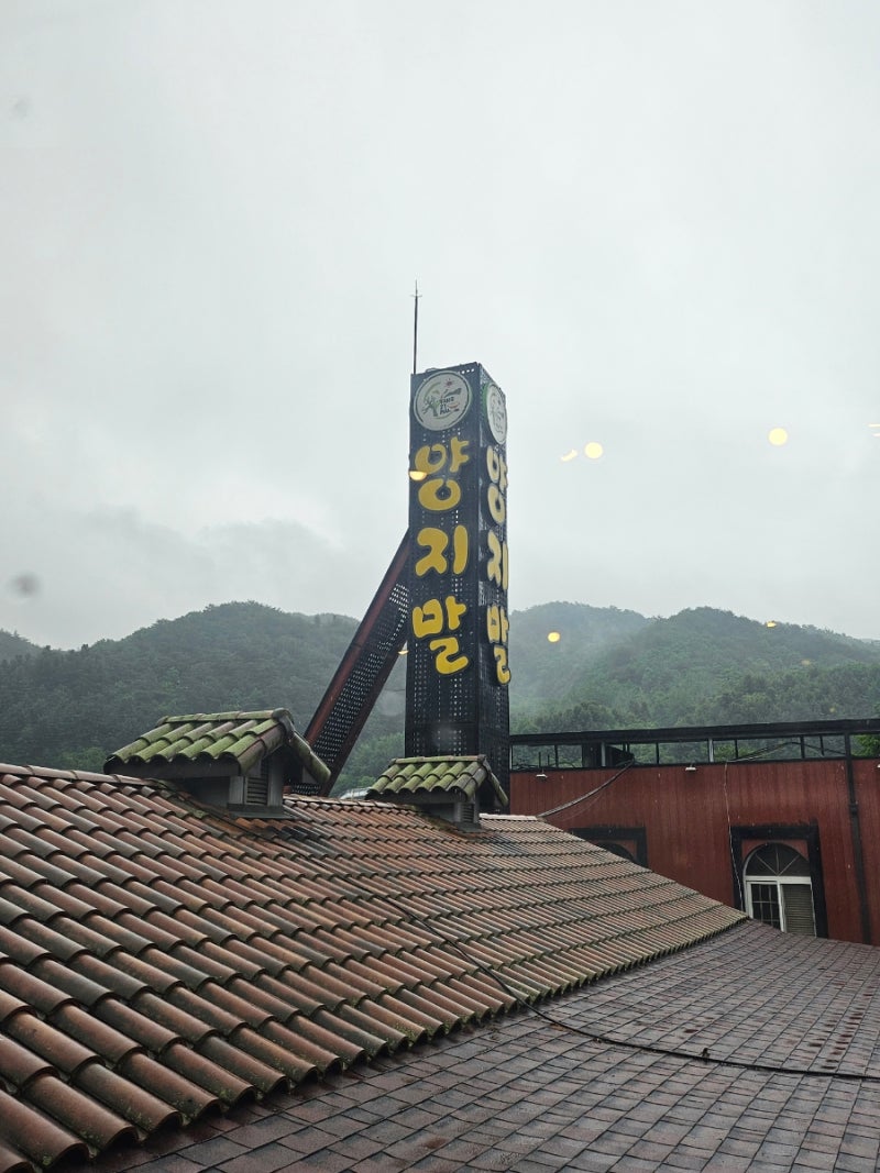 사진 5