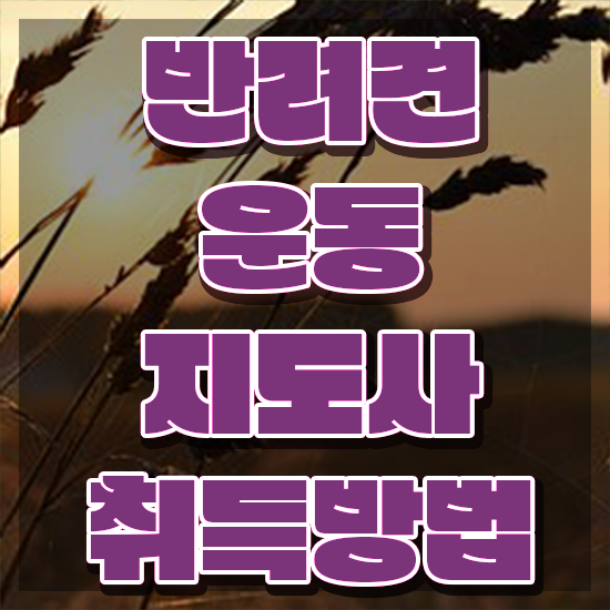  인강으로 간편하게 반려견운동지도사자격증 준비 과정
