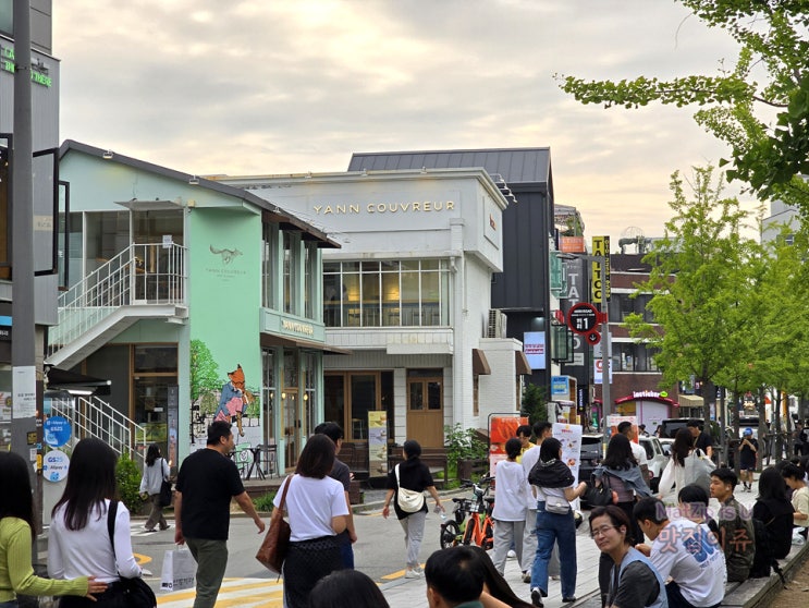 5월 일기 / 충남대 국가정책 대학원 정책포럼, 홍대거리, 연남동 경의선숲길