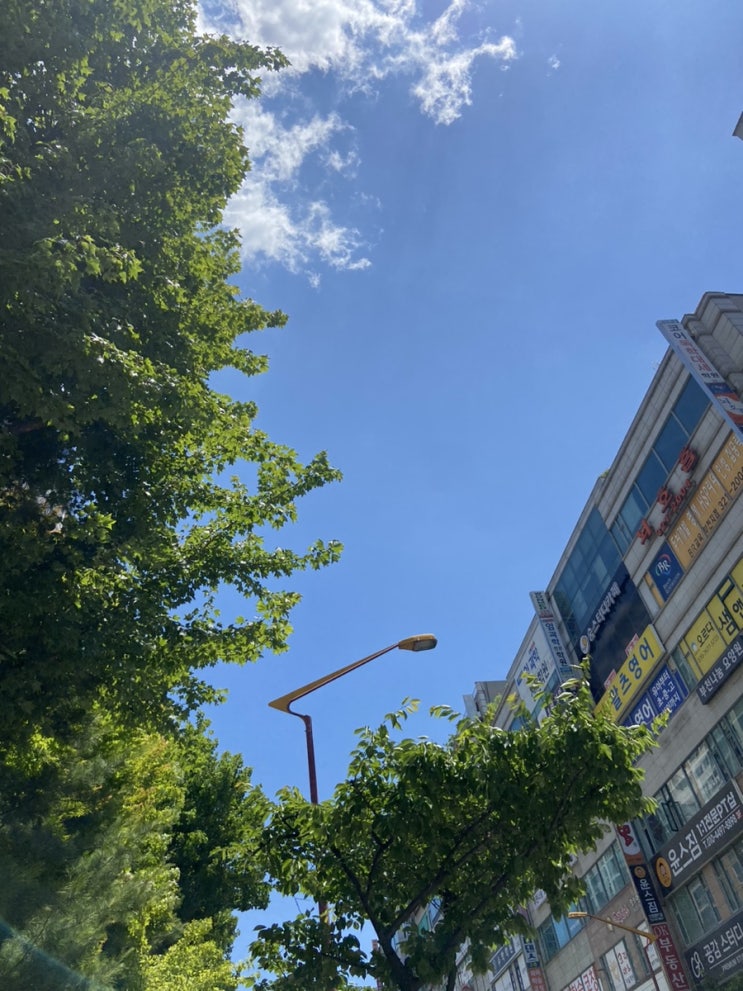  이제 슬슬 더워지는 6월 첫째주 일상