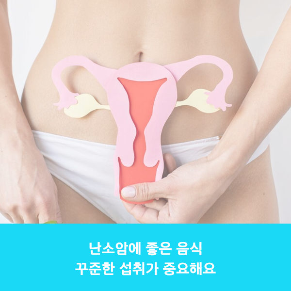 난소암에 좋은 음식 꾸준한 섭취가 중요해요