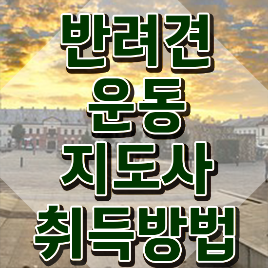  반려견운동지도사 무료 강의 , 반려견운동지도사 취득한 노하우 , 온라인 무료강의