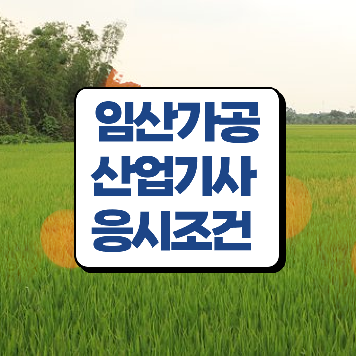  임산가공산업기사 자격요건 온라인 수업으로 반 년만에 완료한 전략