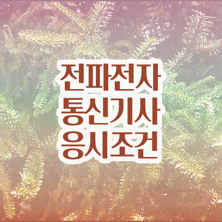  전파전자통신기사 공부 전파전자통신기사 취득자격 온라인 과정으로 5달만에 성공한 비법