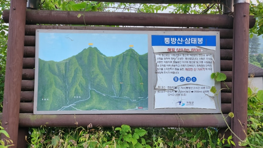 가마소유원지식당 사진 3