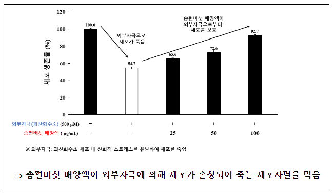 송편버섯에서 근육세포 보호 효과 확인 송편버섯에서 근육세포 보호 효과 확인